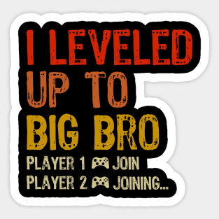 I leveled Up To Big Bro Player 2 Joining... Sticker